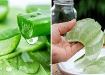 CREATOR: gd-jpeg v1.0 (using IJG JPEG v62), quality = 82