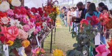 CREATOR: gd-jpeg v1.0 (using IJG JPEG v62), quality = 82