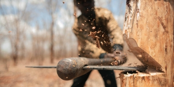 Forest Department gears up to check illegal axing of trees