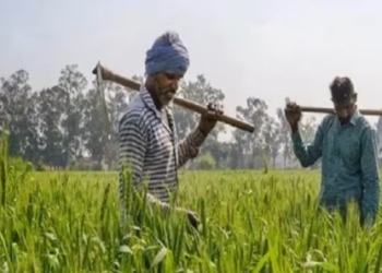 Himachal Pradesh :  ਮਾਨਸੂਨ ਦੀ ਪਹਿਲੀ ਬਰਸਾਤ ਬਣ ਗਈ ਹਿਮਾਚਲ ਦੇ ਕਿਸਾਨਾਂ ਲਈ ਆਫ਼ਤ