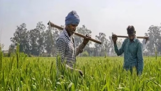 Himachal Pradesh :  ਮਾਨਸੂਨ ਦੀ ਪਹਿਲੀ ਬਰਸਾਤ ਬਣ ਗਈ ਹਿਮਾਚਲ ਦੇ ਕਿਸਾਨਾਂ ਲਈ ਆਫ਼ਤ