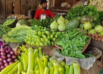 Vegetable News:ਤਿਉਹਾਰਾਂ ਤੋਂ ਪਹਿਲਾਂ ਸਬਜ਼ੀਆਂ ਨੇ ਵਿਗਾੜਿਆ ਰਸੋਈ ਦਾ ਸਵਾਦ, ਪਿਆਜ਼-ਟਮਾਟਰ ਹੋਇਆ ਮਹਿੰਗਾ; ਲਸਣ 320 ਨੂੰ ਕਰ ਗਿਆ ਪਾਰ 