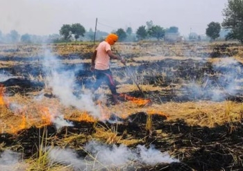 ਪਰਾਲੀ ਸਾੜਨ ‘ਤੇ ਕਾਬੂ ਪਾਉਣ ਲਈ Punjab Government ਸਖ਼ਤ, ਕਿਸਾਨਾਂ ਨੂੰ ਜਾਗਰੂਕ ਕਰਨ ਲਈ ਚਲਾਈ ਜਾਵੇਗੀ ਮੁਹਿੰਮ