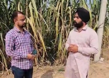 Kharar News: ਡੀ ਏ ਪੀ ਦੇ ਬਦਲ ਵੱਜੋਂ ਐਨ ਪੀ ਕੇ ਅਤੇ ਟਰਿਪਲ ਸੁਪਰ ਫਾਸਫੇਟ ਵੀ ਵਰਤੇ ਜਾ ਸਕਦੇ ਹਨ- ਅਗਾਂਹ ਵਧੂ ਕਿਸਾਨ ਸ਼ਮਨਪ੍ਰੀਤ ਸਿੰਘ