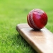 Cricketer died