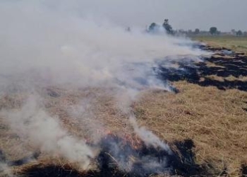 Punjab stubble burning