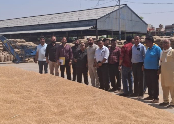 Jalandhar News:ਜ਼ਿਲ੍ਹੇ ਦੀਆਂ ਮੰਡੀਆਂ ‘ਚ ਸੁਚਾਰੂ ਢੰਗ ਨਾਲ ਚੱਲ ਰਹੀ ਹੈ ਕਣਕ ਦੀ ਖਰੀਦ ਪ੍ਰਕਿਰਿਆ, ਕਿਸਾਨਾਂ ਨੇ ਪੰਜਾਬ ਸਰਕਾਰ ਦਾ ਧੰਨਵਾਦ ਪ੍ਰਗਟਾਇਆ