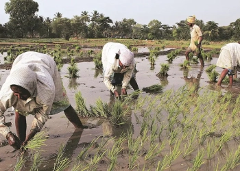 Latest news: ਕੇਂਦਰ ਦਾ ਕਿਸਾਨਾਂ ਲਈ ਵੱਡਾ ਐਲਾਨ