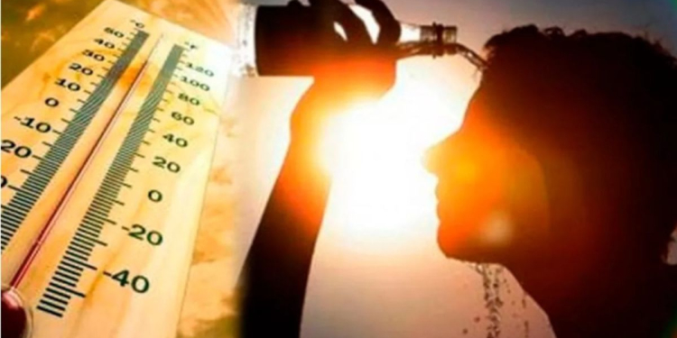 Health Tips: ਗਰਮੀ ਤੋਂ ਬਚਾਅ ਲਈ ਇਨ੍ਹਾਂ ਗੱਲ਼ਾਂ ਦਾ ਰੱਖੋ ਖਾਸ ਖਿਆਲ