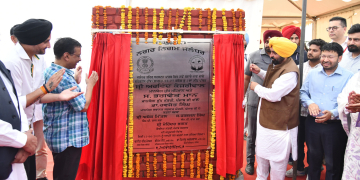 Punjab News: ਜਲੰਧਰ ਤੋਂ ਲੰਡਨ; ਅਰਵਿੰਦ ਕੇਜਰੀਵਾਲ ਅਤੇ ਮੁੱਖ ਮੰਤਰੀ ਮਾਨ ਨੇ ਆਲਮੀ ਮੈਚਾਂ ਲਈ 25,000 ਰਗਬੀ ਗੇਂਦਾਂ ਦੀ ਖੇਪ ਨੂੰ ਦਿਖਾਈ ਹਰੀ ਝੰਡੀ Punjab News: ਜਲੰਧਰ ਤੋਂ ਲੰਡਨ; ਅਰਵਿੰਦ ਕੇਜਰੀਵਾਲ ਅਤੇ ਮੁੱਖ ਮੰਤਰੀ ਮਾਨ ਨੇ ਆਲਮੀ ਮੈਚਾਂ ਲਈ 25,000 ਰਗਬੀ ਗੇਂਦਾਂ ਦੀ ਖੇਪ ਨੂੰ ਦਿਖਾਈ ਹਰੀ ਝੰਡੀ