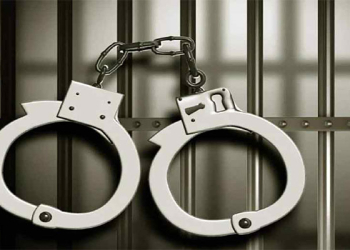 Punjab: ਜੰਗਲੀ ਜੀਵ ਤਸਕਰ ਗ੍ਰਿਫ਼ਤਾਰ, ਦੋ ਦੁਰਲੱਭ ਪੰਛੀ ਬਰਾਮਦ