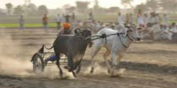 ਪੰਜਾਬ ‘ਚ ਮੁੜ ਸ਼ੁਰੂ ਹੋਣਗੀਆਂ ‘ਬੈਲ ਗੱਡੀਆਂ ਦੀਆਂ ਦੌੜਾਂ’: ਪੰਜਾਬ ਕੈਬਨਿਟ ਨੇ ਦਿੱਤੀ ਪ੍ਰਵਾਨਗੀ ਪੰਜਾਬ ‘ਚ ਮੁੜ ਸ਼ੁਰੂ ਹੋਣਗੀਆਂ ‘ਬੈਲ ਗੱਡੀਆਂ ਦੀਆਂ ਦੌੜਾਂ’: ਪੰਜਾਬ ਕੈਬਨਿਟ ਨੇ ਦਿੱਤੀ ਪ੍ਰਵਾਨਗੀ