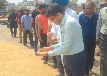 Punjab Mandi Board ਦੇ ਸਕੱਤਰ ਰਾਮਵੀਰ ਵੱਲੋਂ ਜ਼ਿਲ੍ਹਾ Sangrur ਦੀਆਂ ਵੱਖ-ਵੱਖ ਅਨਾਜ ਮੰਡੀਆਂ ਦਾ ਅਚਨਚੇਤ ਦੌਰਾ