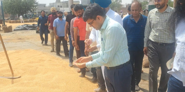 Punjab Mandi Board ਦੇ ਸਕੱਤਰ ਰਾਮਵੀਰ ਵੱਲੋਂ ਜ਼ਿਲ੍ਹਾ Sangrur ਦੀਆਂ ਵੱਖ-ਵੱਖ ਅਨਾਜ ਮੰਡੀਆਂ ਦਾ ਅਚਨਚੇਤ ਦੌਰਾ