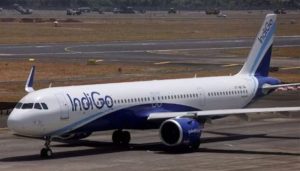 Indigo Flight