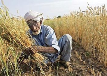 Punjab Farmer: ਵੱਡਾ ਖੁਲਾਸਾ: ਪੰਜਾਬ ਦੇ 37.62 ਲੱਖ ਕਿਸਾਨਾਂ ‘ਤੇ 1 ਲੱਖ ਕਰੋੜ ਤੋਂ ਵੱਧ ਦਾ ਕਰਜ਼ਾ, ਪੜ੍ਹੋ ਵੇਰਵਾ