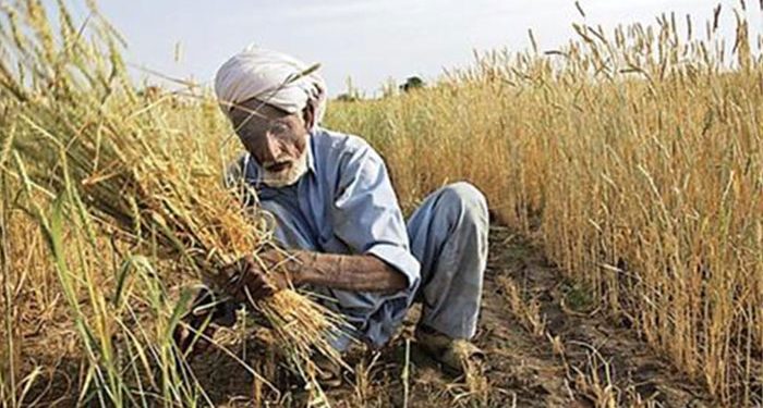 Punjab Farmer: ਵੱਡਾ ਖੁਲਾਸਾ: ਪੰਜਾਬ ਦੇ 37.62 ਲੱਖ ਕਿਸਾਨਾਂ ‘ਤੇ 1 ਲੱਖ ਕਰੋੜ ਤੋਂ ਵੱਧ ਦਾ ਕਰਜ਼ਾ, ਪੜ੍ਹੋ ਵੇਰਵਾ Punjab Farmer: ਵੱਡਾ ਖੁਲਾਸਾ: ਪੰਜਾਬ ਦੇ 37.62 ਲੱਖ ਕਿਸਾਨਾਂ ‘ਤੇ 1 ਲੱਖ ਕਰੋੜ ਤੋਂ ਵੱਧ ਦਾ ਕਰਜ਼ਾ, ਪੜ੍ਹੋ ਵੇਰਵਾ
