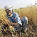 National: ਕਿਸਾਨਾਂ ਲਈ ਜ਼ਰੂਰੀ ਖ਼ਬਰ, ਅੱਜ ਹੀ ਕਰਾ ਲਓ ਇਹ ਕੰਮ, ਨਹੀਂ ਤਾਂ ਸਰਕਾਰੀ ਸਕੀਮਾਂ ਦਾ ਨਹੀਂ ਮਿਲੇਗਾ ਲਾਭ