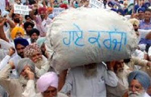 Punjab Farmer