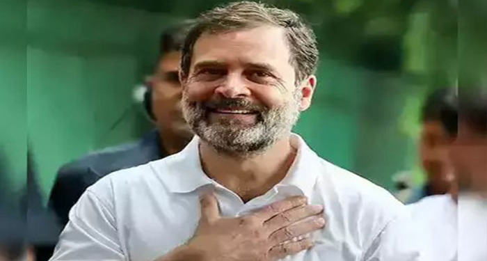 Indian Army ‘ਤੇ ਟਿੱਪਣੀ ਦੇ ਮਾਮਲੇ ਵਿੱਚ ਰਾਹੁਲ ਗਾਂਧੀ ਨੂੰ ਵੱਡੀ ਰਾਹਤ