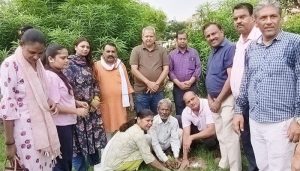 Tree Planting