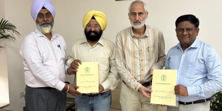 PUNJAB ਤੋਂ ਕੀਟਨਾਸ਼ਕ ਰਹਿਤ ਬਾਸਮਤੀ ਨਿਰਯਾਤ ਨੂੰ ਤੇਜ਼ ਕਰਨ ਲਈ ਰਣਨੀਤਕ ਦਖਲਅੰਦਾਜ਼ੀ ਦੀ ਲੋੜ