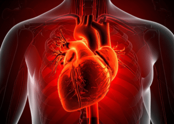 HEALTH & MEDICINE : ਇੱਕ ਅਧਿਐਨ ਅਨੁਸਾਰ bacterial infection ਬਣ ਸਕਦੀ ਹੈ ਦਿਲ ਦੇ ਦੌਰੇ ਦਾ ਕਾਰਨ 