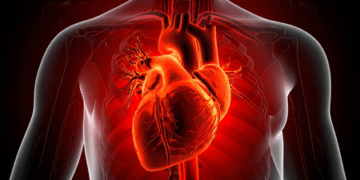 HEALTH & MEDICINE : ਇੱਕ ਅਧਿਐਨ ਅਨੁਸਾਰ bacterial infection ਬਣ ਸਕਦੀ ਹੈ ਦਿਲ ਦੇ ਦੌਰੇ ਦਾ ਕਾਰਨ 