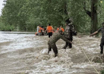 Punjab Flood: ਪੰਜਾਬ ਪੁਲਿਸ, NDRF, SDRF ਅਤੇ ARMY ਨਾਲ ਮਿਲ ਕੇ ਹੜ੍ਹ ਪ੍ਰਭਾਵਿਤ ਜ਼ਿਲ੍ਹਿਆਂ ਵਿੱਚ ਬਚਾਅ ਕਾਰਜਾਂ ‘ਚ ਜੁਟੀ