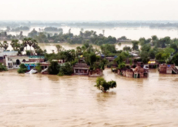 CM Mann ਨੇ ਹੜ੍ਹਾਂ ਨਾਲ ਨਜਿੱਠਣ ਲਈ ਮੰਤਰੀਆਂ ਦੀ ਬਣਾਈ ਕਮੇਟੀ