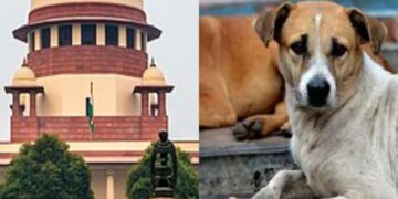 Supreme Court: ਅਵਾਰਾ ਕੁੱਤਿਆਂ ਬਾਰੇ ਸੁਪਰੀਮ ਕੋਰਟ ਨੇ ਸੁਣਾਇਆ ਵੱਡਾ ਫ਼ੈਸਲਾ, ਪੜ੍ਹੋ ਪੂਰੀ ਖ਼ਬਰ Supreme Court: ਅਵਾਰਾ ਕੁੱਤਿਆਂ ਬਾਰੇ ਸੁਪਰੀਮ ਕੋਰਟ ਨੇ ਸੁਣਾਇਆ ਵੱਡਾ ਫ਼ੈਸਲਾ, ਪੜ੍ਹੋ ਪੂਰੀ ਖ਼ਬਰ