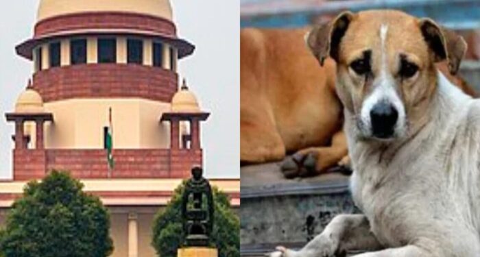 Supreme Court: ਅਵਾਰਾ ਕੁੱਤਿਆਂ ਬਾਰੇ ਸੁਪਰੀਮ ਕੋਰਟ ਨੇ ਸੁਣਾਇਆ ਵੱਡਾ ਫ਼ੈਸਲਾ, ਪੜ੍ਹੋ ਪੂਰੀ ਖ਼ਬਰ Supreme Court: ਅਵਾਰਾ ਕੁੱਤਿਆਂ ਬਾਰੇ ਸੁਪਰੀਮ ਕੋਰਟ ਨੇ ਸੁਣਾਇਆ ਵੱਡਾ ਫ਼ੈਸਲਾ, ਪੜ੍ਹੋ ਪੂਰੀ ਖ਼ਬਰ