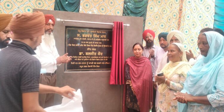 Punjab: ਕੈਬਨਿਟ ਮੰਤਰੀ ਡਾ. ਬਲਜੀਤ ਕੌਰ ਨੇ ਹਲਕਾ ਮਲੋਟ ‘ਚ ਸੱਤ ਵੱਖ-ਵੱਖ ਥਾਵਾਂ ‘ਤੇ ਰੱਖੇ ਸਿਹਤ ਕੇਂਦਰਾਂ ਦੇ ਨੀਂਹ ਪੱਥਰ