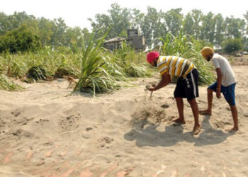 Punjab Floods: ਪੰਜਾਬ ‘ਚ ਜ਼ਮੀਨਾਂ ‘ਤੇ 5-5 ਫੁੱਟ ਚੜ੍ਹੀ ਰੇਤ, ਇਨ੍ਹਾਂ ਜ਼ਿਲ੍ਹਿਆਂ ‘ਚ ਪਈ ਸਭ ਤੋਂ ਵੱਧ ਮਾਰ