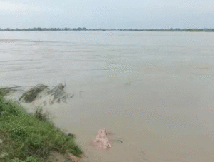 Haryana