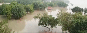 Delhi Flood