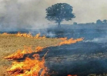 Stubble Burning: ਪੰਜਾਬ ਵਿੱਚ ਪਰਾਲੀ ਸਾੜਨ ਦੇ ਮਾਮਲੇ ਵਧਣ ਲੱਗੇ: 75 ਕੇਸ ਹੋਏ ਦਰਜ