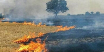 Stubble Burning: ਪੰਜਾਬ ਵਿੱਚ ਪਰਾਲੀ ਸਾੜਨ ਦੇ ਮਾਮਲੇ ਵਧਣ ਲੱਗੇ: 75 ਕੇਸ ਹੋਏ ਦਰਜ