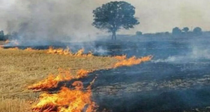 Stubble Burning: ਪੰਜਾਬ ਵਿੱਚ ਪਰਾਲੀ ਸਾੜਨ ਦੇ ਮਾਮਲੇ ਵਧਣ ਲੱਗੇ: 75 ਕੇਸ ਹੋਏ ਦਰਜ