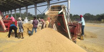 PUNJAB : ਪੰਜਾਬ ‘ਚ ਅੱਜ ਤੋਂ ਸ਼ੁਰੂ ਹੋ ਰਹੀ ਹੈ ਝੋਨੇ ਦੀ ਖਰੀਦ PUNJAB : ਪੰਜਾਬ ‘ਚ ਅੱਜ ਤੋਂ ਸ਼ੁਰੂ ਹੋ ਰਹੀ ਹੈ ਝੋਨੇ ਦੀ ਖਰੀਦ