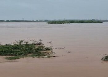 Punjab Floods : ਘੱਗਰ ਨੇ ਮਚਾਈ ਤਬਾਹੀ, ਘਰਾਂ ‘ਚ ਵੜਿਆ ਪਾਣੀ