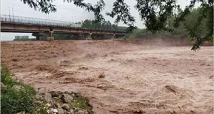 Punjab Floods : ਘੱਗਰ ’ਚ ਪਾਣੀ ਦਾ ਪੱਧਰ ਪਹੁੰਚਿਆ ਖ਼ਤਰੇ ਦੇ ਨਿਸ਼ਾਨ ਦੇ ਨੇੜੇ Punjab Floods : ਘੱਗਰ ’ਚ ਪਾਣੀ ਦਾ ਪੱਧਰ ਪਹੁੰਚਿਆ ਖ਼ਤਰੇ ਦੇ ਨਿਸ਼ਾਨ ਦੇ ਨੇੜੇ