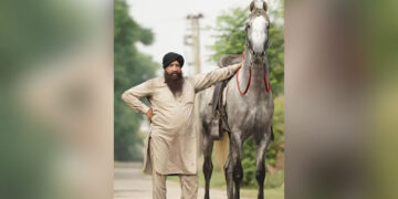 Punjab: ਘੋੜੇ ਦੀ ਆਤਮਾ ਲਈ ਅੰਤਿਮ ਅਰਦਾਸ, ਮਾਲਕ ਨੇ ਕਾਰਡ ਛਾਪਵਾਏ: ਕਿਹਾ, ‘ਮੇਰੇ ਲਈ ਤੀਜੇ ਪੁੱਤਰ ਵਾਂਗ ਸੀ’ Punjab: ਘੋੜੇ ਦੀ ਆਤਮਾ ਲਈ ਅੰਤਿਮ ਅਰਦਾਸ, ਮਾਲਕ ਨੇ ਕਾਰਡ ਛਾਪਵਾਏ: ਕਿਹਾ, ‘ਮੇਰੇ ਲਈ ਤੀਜੇ ਪੁੱਤਰ ਵਾਂਗ ਸੀ’
