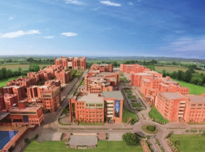 University Rankings