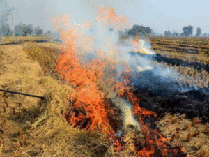 Punjab