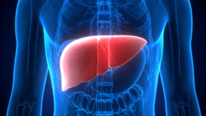 living donor