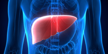 living donor liver ਟ੍ਰਾਂਸਪਲਾਂਟੇਸ਼ਨ ਵਿੱਚ ਭਾਰਤ ਮੋਹਰੀ 