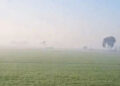 Punjab Weather: ਪਹਾੜਾਂ ਤੋਂ ਆ ਰਹੀਆਂ ਹਵਾਵਾਂ ਕਾਰਨ ਸੂਬੇ ਦੇ ਤਾਪਮਾਨ ’ਚ ਗਿਰਾਵਟ