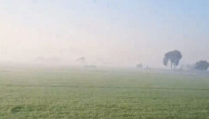 Punjab Weather