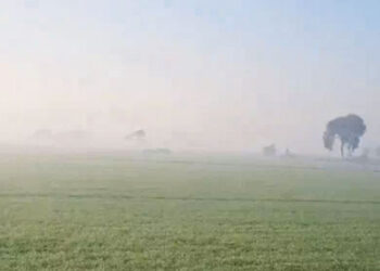 Punjab Weather: ਪੜ੍ਹੋ ਕਿਹੋ ਜਿਹਾ ਰਹੇਗਾ ਆਉਣ ਵਾਲੇ ਦਿਨਾਂ ‘ਚ ਪੰਜਾਬ ਦਾ ਮੌਸਮ Punjab Weather: ਪੜ੍ਹੋ ਕਿਹੋ ਜਿਹਾ ਰਹੇਗਾ ਆਉਣ ਵਾਲੇ ਦਿਨਾਂ ‘ਚ ਪੰਜਾਬ ਦਾ ਮੌਸਮ